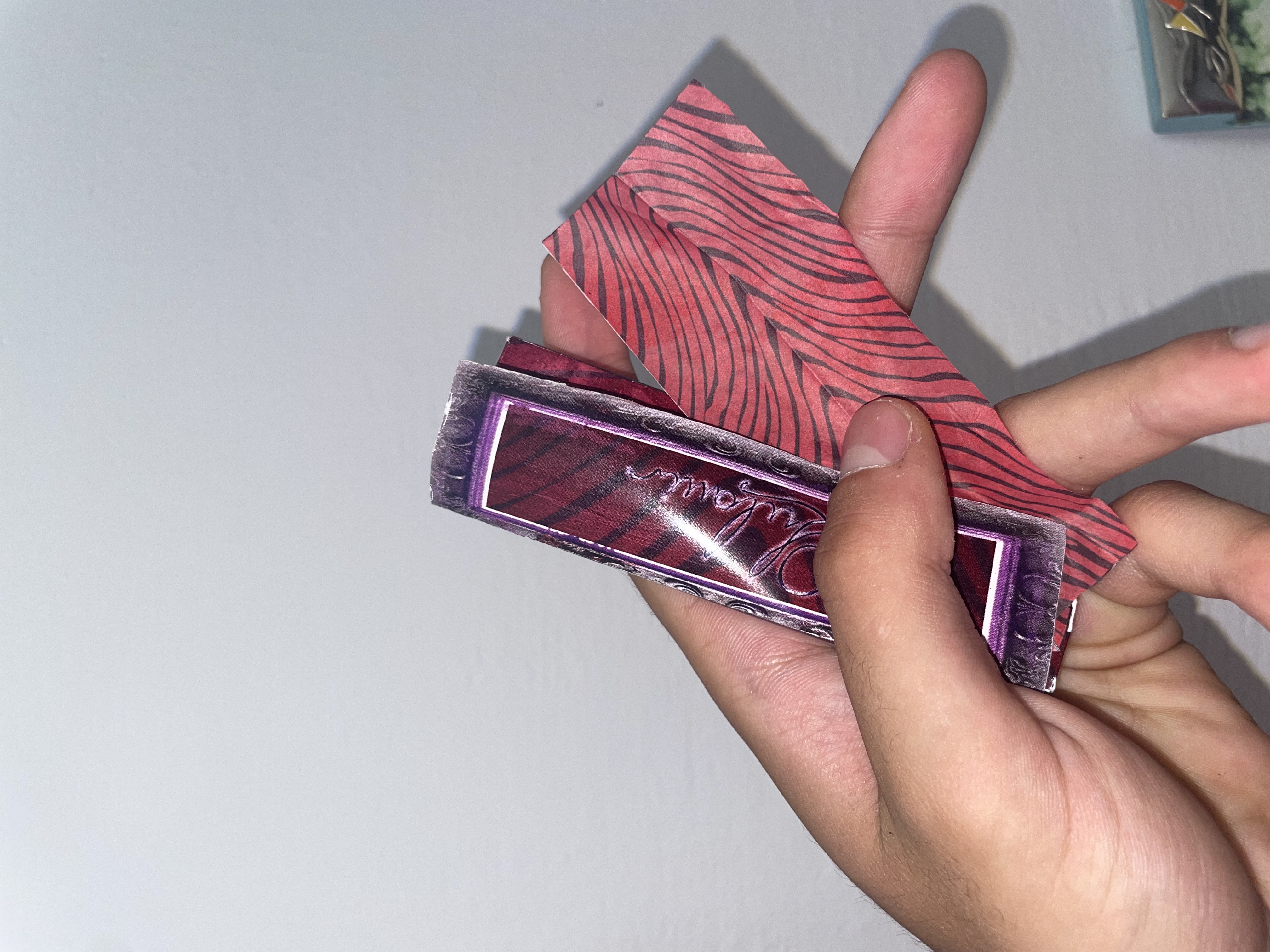 Pack Lulavi X50 en mano — king size zebra print